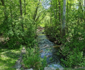 Creek